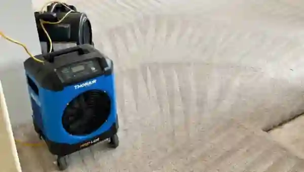 Why Carpet Cleaning Is Essential for Perth Homes